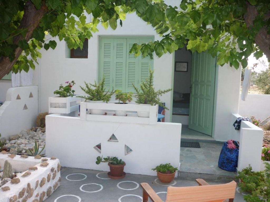 Skyros Panorama Studios Стая снимка