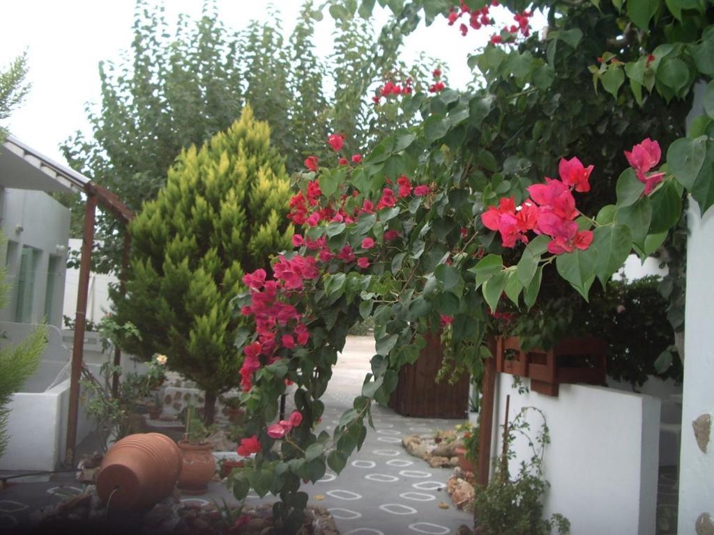 Skyros Panorama Studios Екстериор снимка