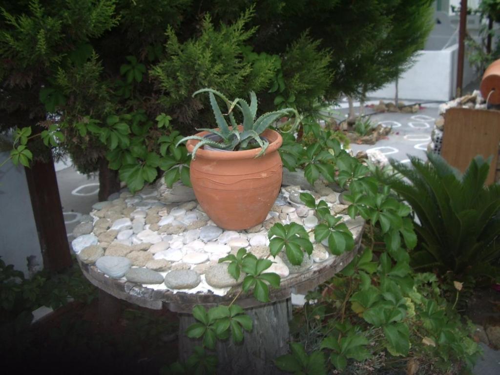 Skyros Panorama Studios Екстериор снимка