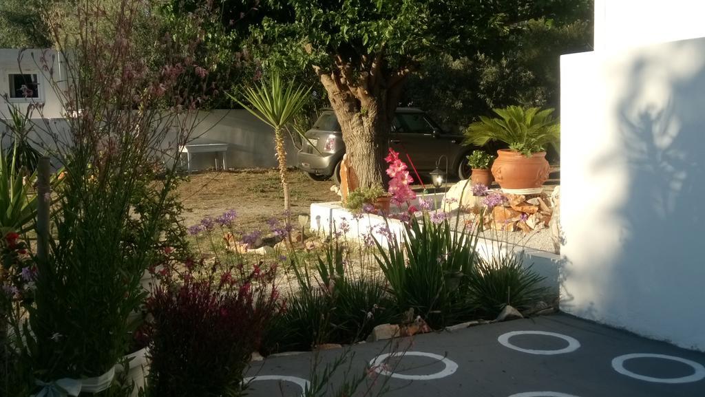 Skyros Panorama Studios Екстериор снимка