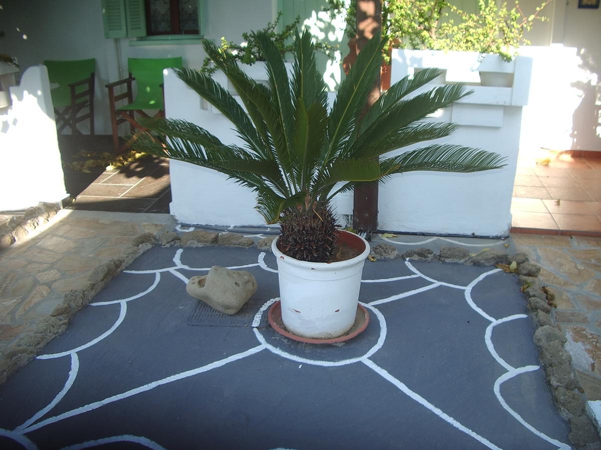 Skyros Panorama Studios Екстериор снимка